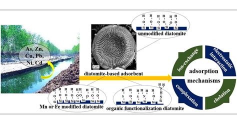  Diatomite: Applications industrielles clés pour un matériau ancestral !