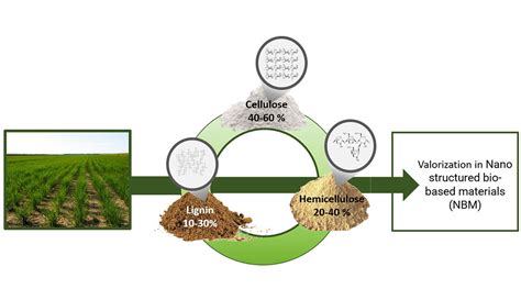 Lignin Composites: Un révolutionnaire matériau biosourcé pour l'industrie automobile !